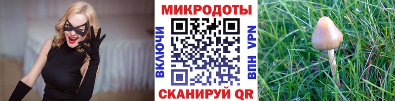 цена   hydra ТОР  Псилоцибиновые грибы Psilocybe  Южно-Сухокумск 