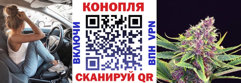 цена   Южно-Сухокумск  darknet состав  Бошки марихуана White Widow 
